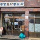 부산농약종묘사 | 제주 여름문구사 제주에서 가장 마음에 들었던 소품샵 with. 아코제주