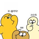 오늘도 멍멍 네이버블로그