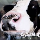 가사목장 이미지