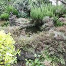 돌담하우스(민박) 이미지