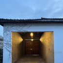 달빛온도 | 제주 애월 달빛온도 : 감성 숙소 애견동반 가능한 가성비 독채! 개인 마당까지! 2박3일