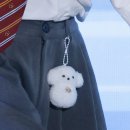 아지랑이 | 2023 천안 K-컬처박람회 특집 쇼!음악중심 루시 아지랑이 후기 (+ 신예찬 키링)