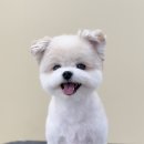 윈썸그루밍 이미지