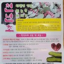 거창 천년초 농원