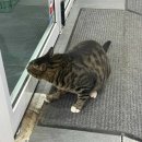 복탄천 다이닝코드