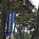 중앙솔밭캠핑장 이미지