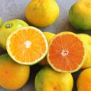 대구농장 이미지