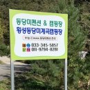 동당미 계곡 캠핑장 이미지