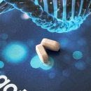 호평1통 | 위고톡스 다이어트보조제 복용 5일차 후기 복용법 효과 부작용