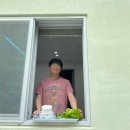 운장산 자연휴양림 | [진안 여행] 운장산 자연휴양림 연립동 금낭화 후기