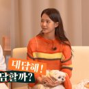 대담 이미지