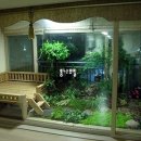 푸릇푸릇 이미지