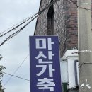 마산가축병원 티스토리