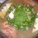 술시 Daum카페