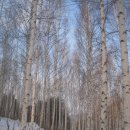 꽃피는산골1 이미지