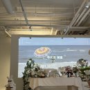 아름:담다 | 세종 아름담다 파티룸 소규모 돌잔치 후기 대형 볼풀장 덕에 첫째도 신났던 내돈내산 기록