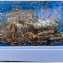 예술맛집 코스 이미지