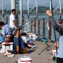 가우도 낚시공원 이미지