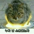 유신족발 이미지