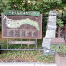 월배동화타운 이미지