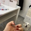 네일하는 강아지 | [의정부] 지붕킥보면서 강아지쓰다듬으며 네일할 수 있는 곳 | 의정부역 네일샵 | 왓츄컬러