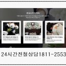 3일간동행