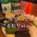 시청로2 | 부산 시청 “육회한바다” 맛과 친절에 반한 연산동 맛집 육회 맛집 솔직후기