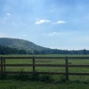 정만목장 이미지