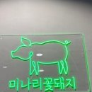 미나리꽃돼지