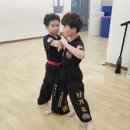 정의합기도 이미지