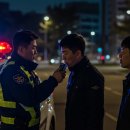 안일상회 티스토리