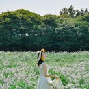 제주자연여행