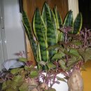 양원리우물 이미지