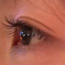 제일꼼꼼내과의원 | [압구정속눈썹연장] 꼼꼼래쉬 :: 자연스럽고 편안한 led속눈썹연장 솔직후기