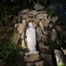정진석농장 | 순교지 새남터와 삼성산이 보이는 용산성당 (출처:가톨릭평화신문 24.11.10 이학주 기자)