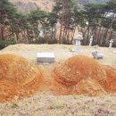 가람장묘개발