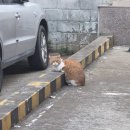 소담촌주안역점 | 환절기, 몸이 말썽인 화요일과 수요일+ 소담촌 주안점 방문