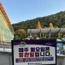 청주 가볼만한 곳, 미동산 수목원 단풍 현황(2024.11.03 방문)