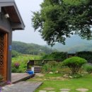 느티나무cafe 이미지
