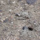 반송2동-19 이미지