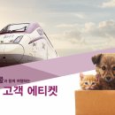 CW-1472-01 이미지