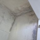 꽃바위아파트 | 피해 복구 전문, 울산 명품도배!울산 동구 꽃바위 현대아파트 거실 누수현장 실크도배 &amp; 곰팡이 제거...