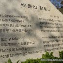 비슬산 참꽃축제와 참꽃 군락지 이미지