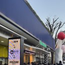 Dear.마 이 아 지 | RejetFes2026 &amp; Skitdolce 리젯페스 후기