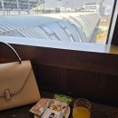 김포낚시슈퍼 | 결혼기념일 남편의 깜짝 선물 제주 당일치기 데이트 with 아시아나 비즈니스석