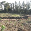 남원읍-54 이미지