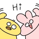 쌈바플스방 이미지