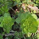 태안읍 행정복지센터 이미지