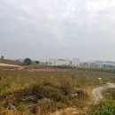 음성실내체육관 이미지