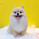 상일축산 이미지